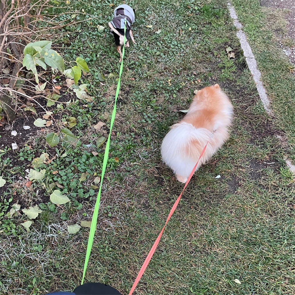 Dual Dog Retractable Leash -360° Tangle-Free withSeparate Controls