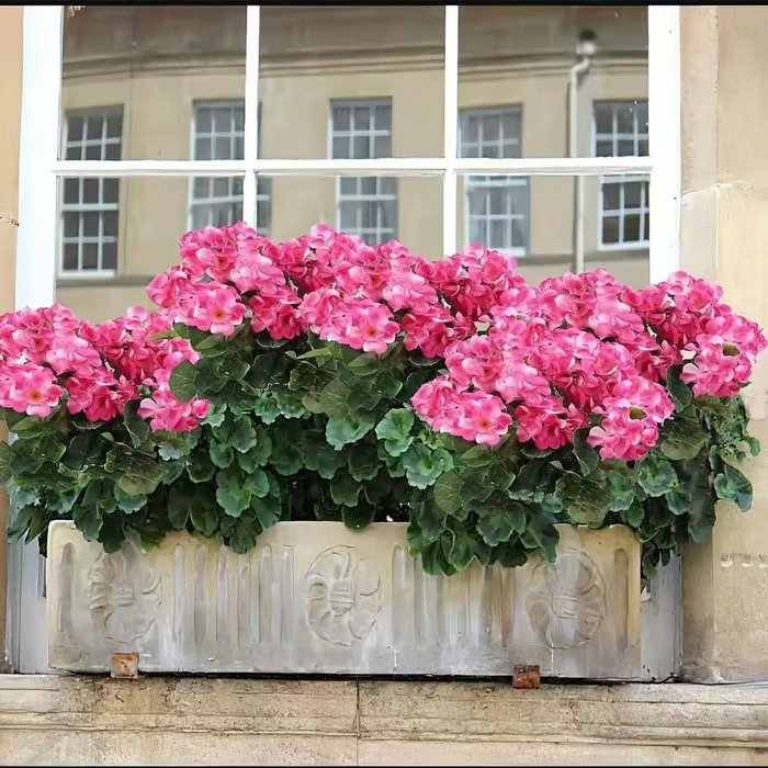 🌸 Lush, UV-Resistant Artificial Geraniums – Real Look, No Maintenance! 🌞🏡💐
