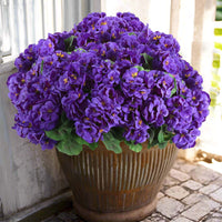 Purple (6 pieces set)