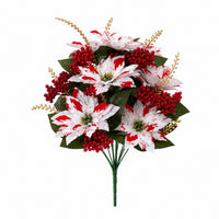 12  Poinsettia fruit branches (4 bunches)
