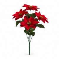 5 Poinsettia fruit branches (4 bunches)