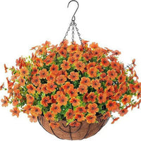 Orange（20CM Basket）