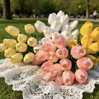 10 Pcs‑Cream