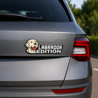 Labrador-B