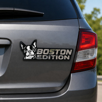 Boston Terrier