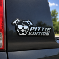 Pit Bull