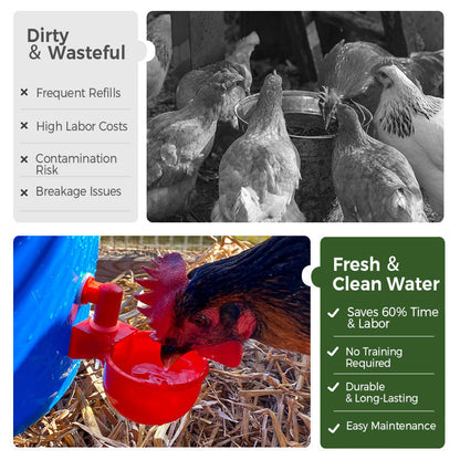 ⏳🔥LIMITED-TIME 50% OFF! ⏰5/16 Inch Thread Automatic Poultry Water Cups