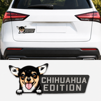 Chihuahua-B