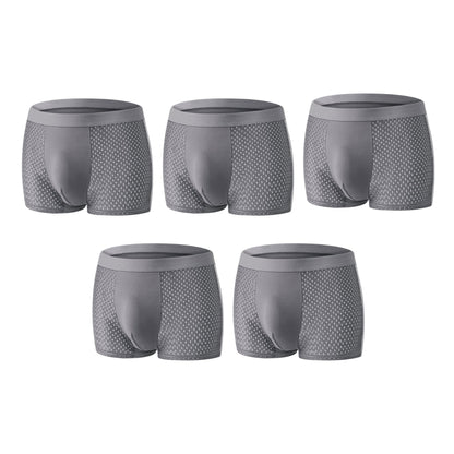 2026 HOT SALE🔥 Premium Leakproof lceSilk Mesh Men's Boxer