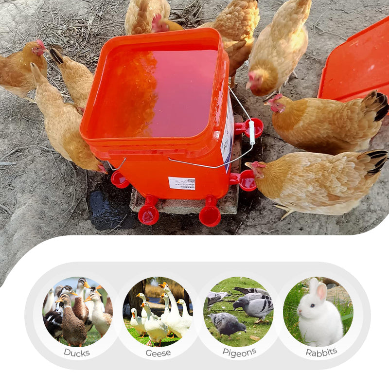⏳🔥LIMITED-TIME 50% OFF! ⏰5/16 Inch Thread Automatic Poultry Water Cups