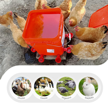 ⏳🔥LIMITED-TIME 50% OFF! ⏰5/16 Inch Thread Automatic Poultry Water Cups