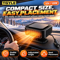 LY118 Black-Gray 12V