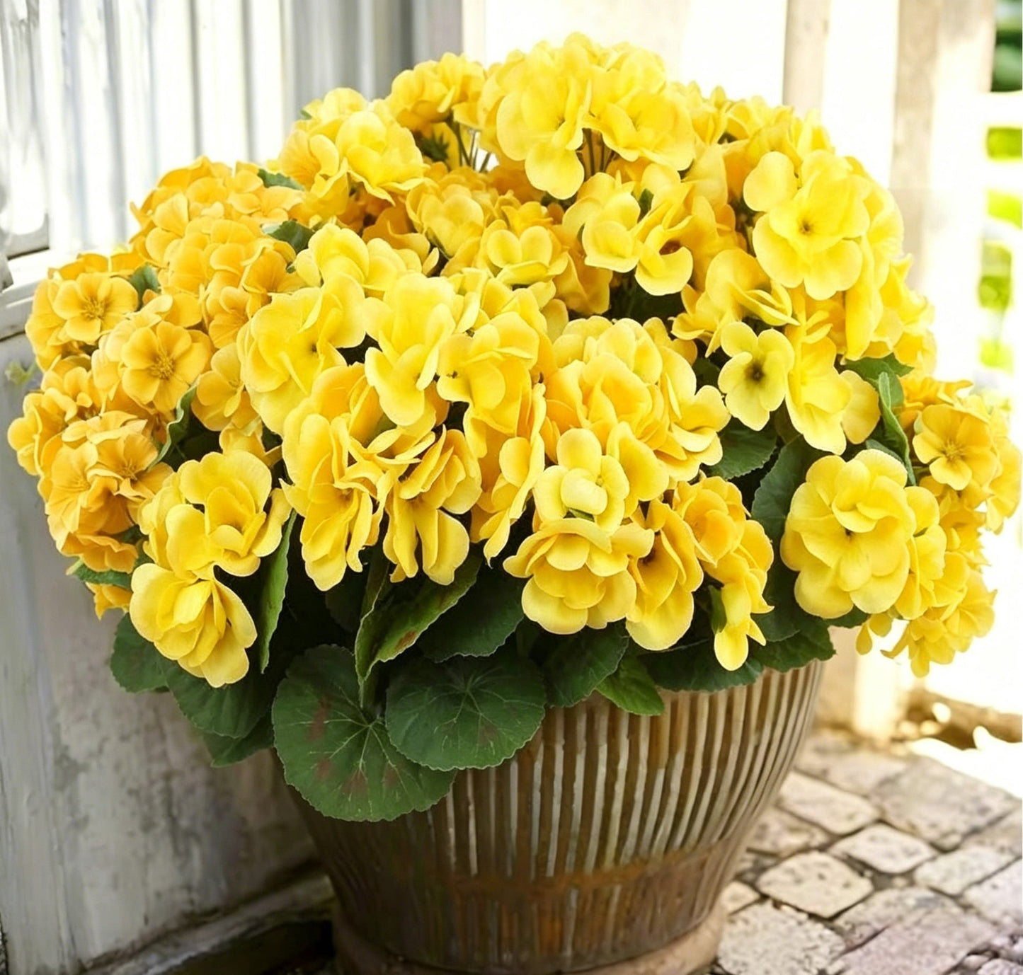 🌸 Lush, UV-Resistant Artificial Geraniums – Real Look, No Maintenance! 🌞🏡💐