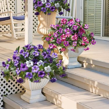 🔥Last Day 70% OFF🔥UV Resistant Faux Petunia Flowers – Fade-Proof Outdoor Floral Decor