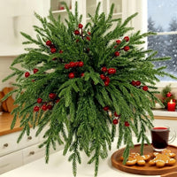 Pine branches and red berries