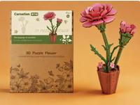 Carnation