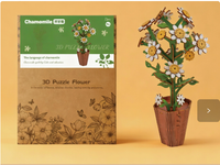 Chamomile