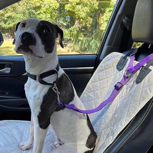 2-in-1 Dog Car Seat Belt& Walking Leash