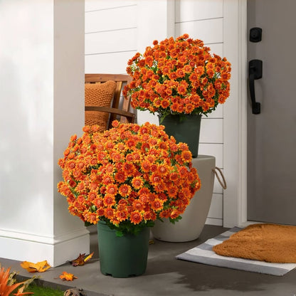 🔥 50% OFF Today Only 🔥 - Artificial Outdoor Mums Flowers - UV resistant, Waterproof, Windproof🌼