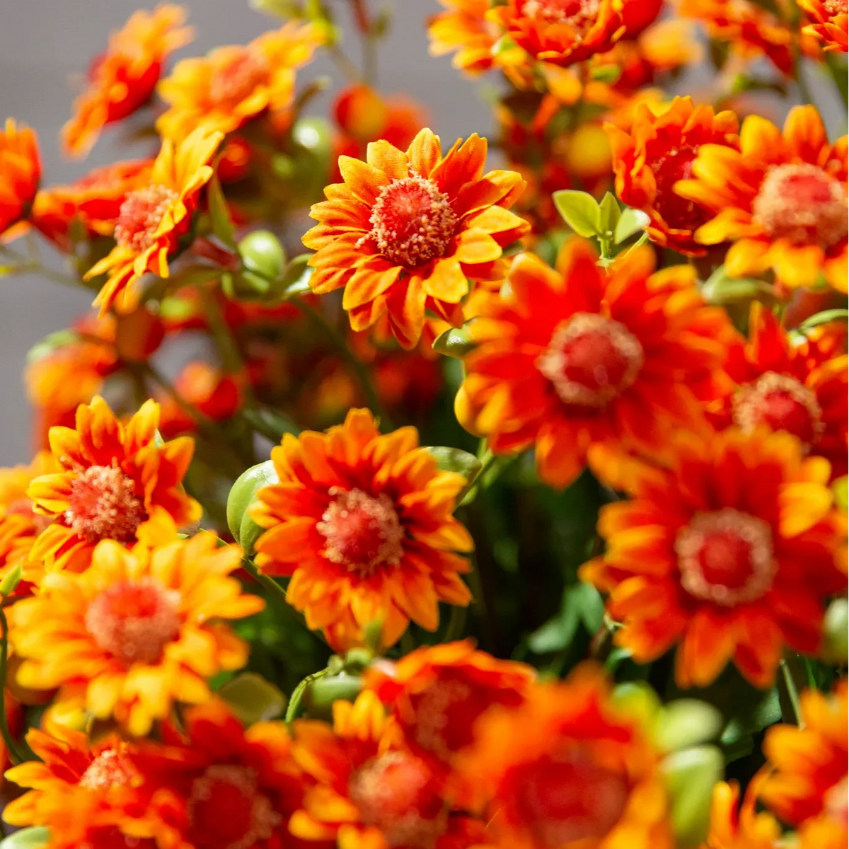 🔥 50% OFF Today Only 🔥 - Artificial Outdoor Mums Flowers - UV resistant, Waterproof, Windproof🌼