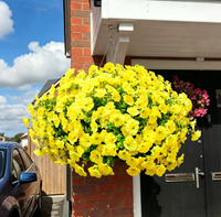Yellow*5