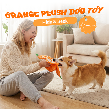 Hide & Seek Orange Plush Dog Toy